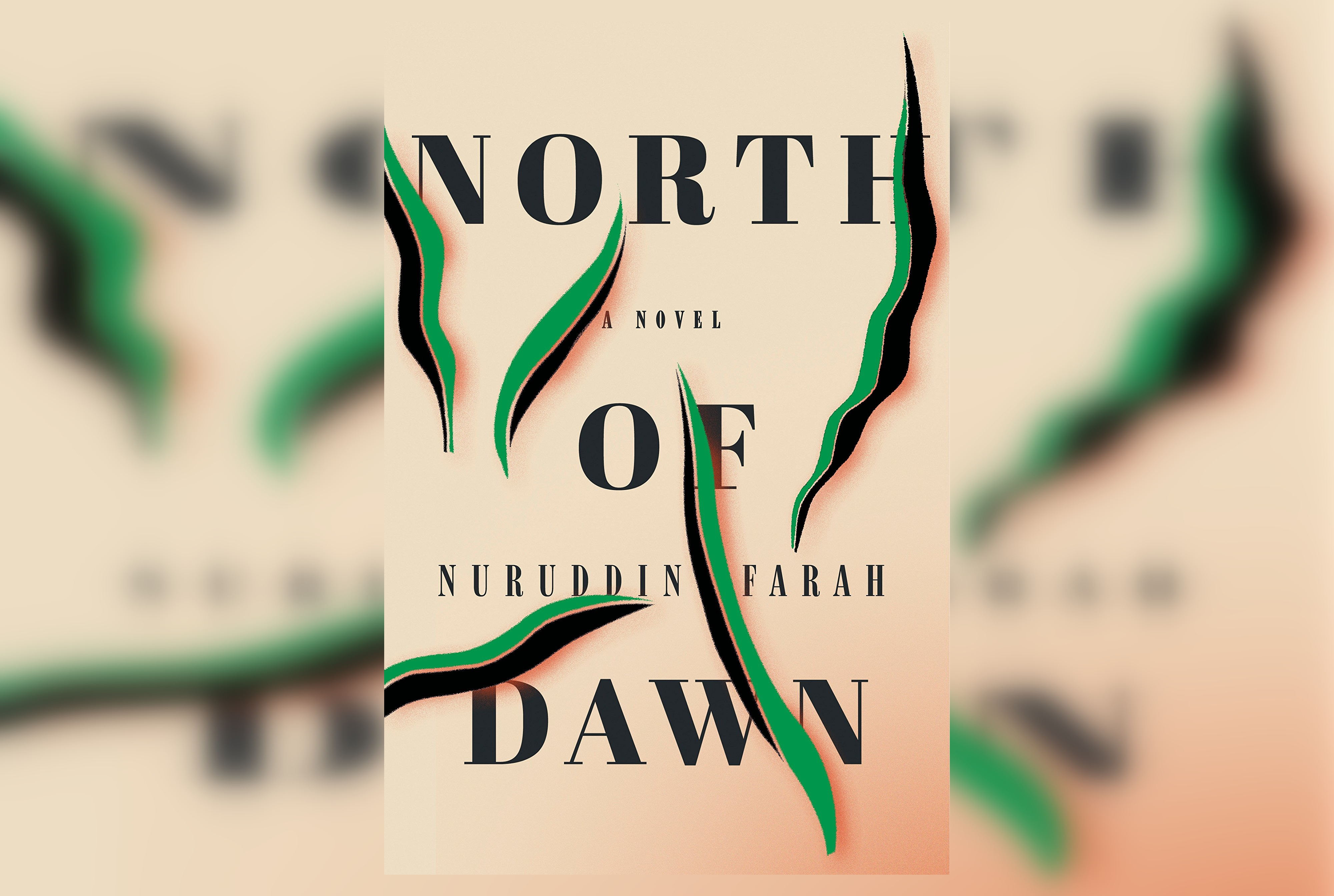 Review: North of Dawn by Nuruddin Farah