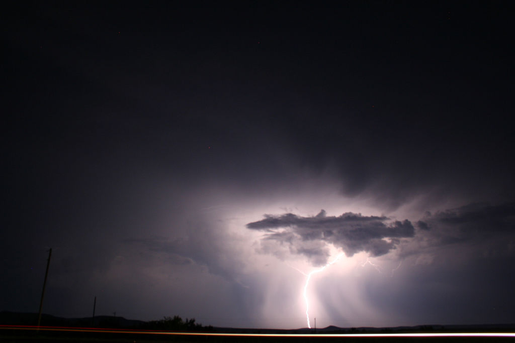 Doe After the Lightning Storm