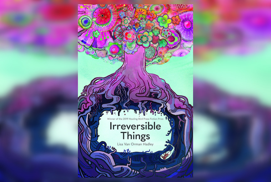 Review: Irreversible Things by Lisa Van Orman Hadley