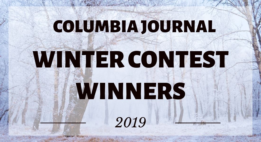 The Winners of the 2019 Winter Contest!