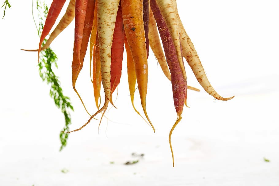 Spring Contest Winner in Nonfiction: On Becoming a Root Vegetable