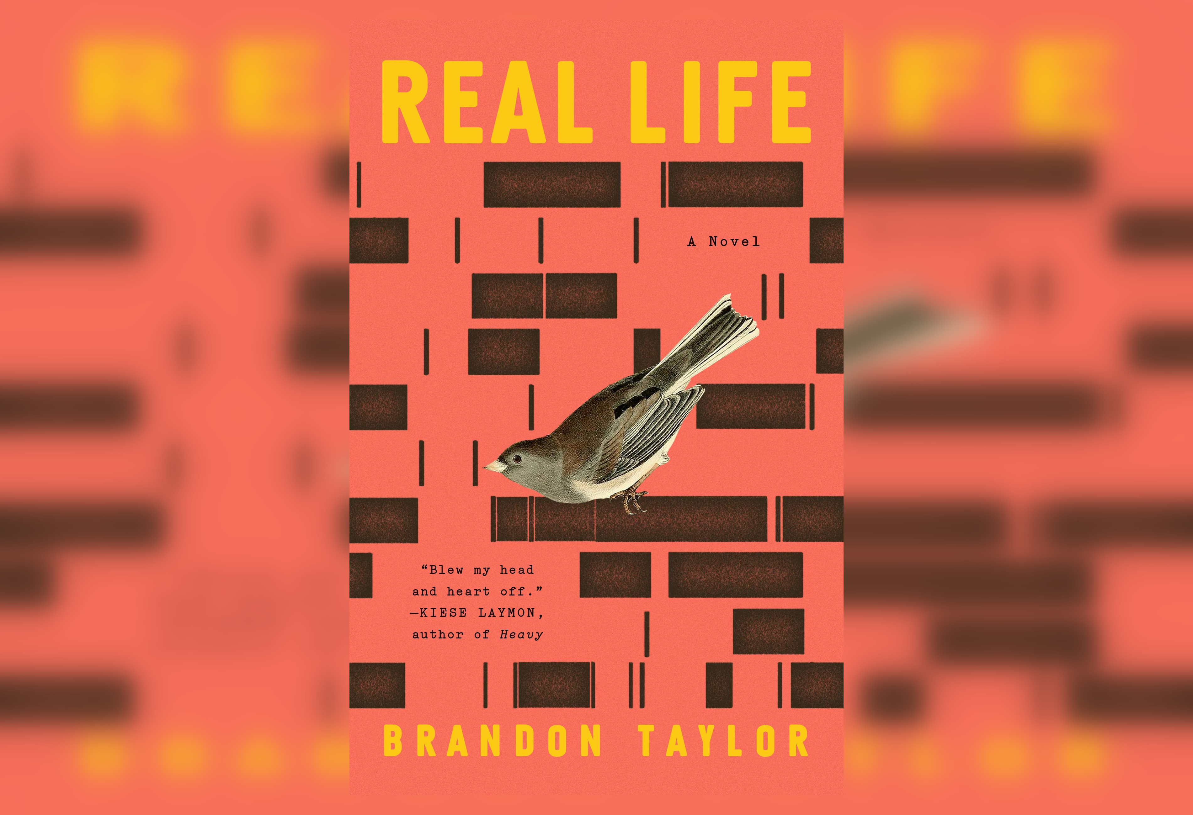 Review: Real Life by Brandon Taylor