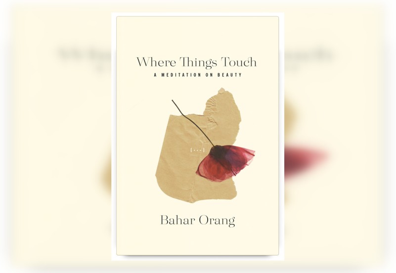 Review: Where Things Touch by Bahar Orang