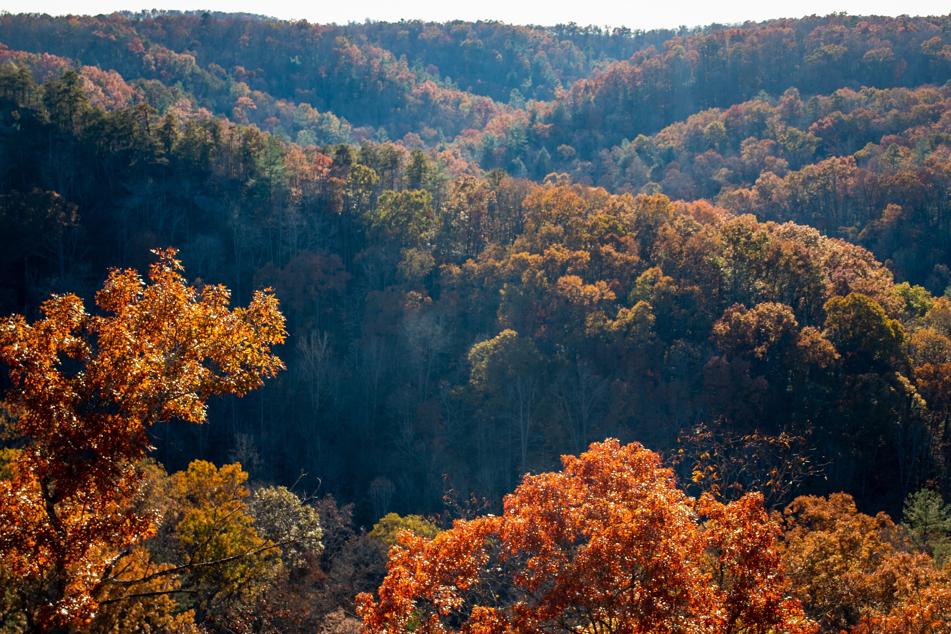 Appalachia hills