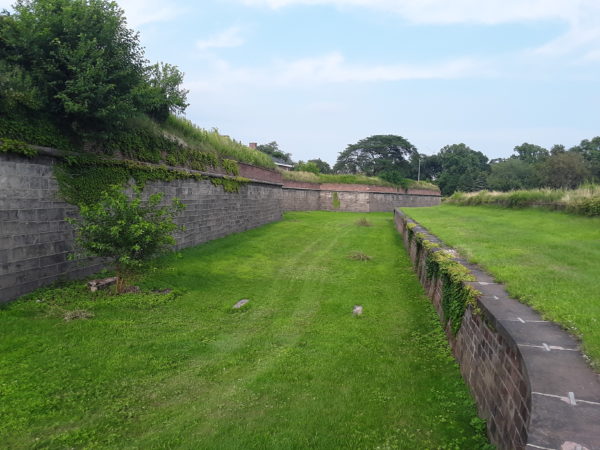 60 for 60: Irish Women Explorers of the Nineteenth Century