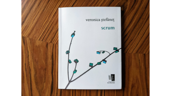 Two Poems from Scrum by Veronica Stefanet, Translated from Romanian by Monica Cure