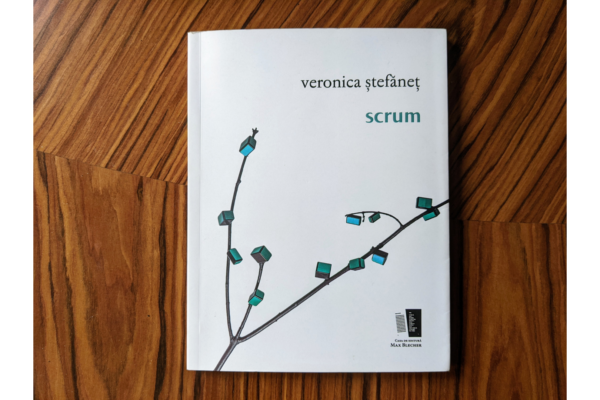 Two Poems from Scrum by Veronica Stefanet, Translated from Romanian by Monica Cure